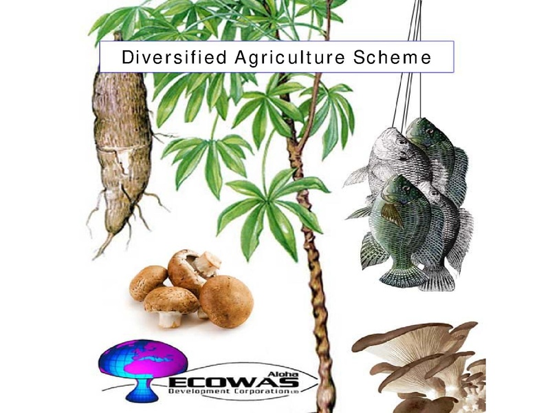 File:Low Cost Mushroom Cultivation.pdf · version 1.pdf