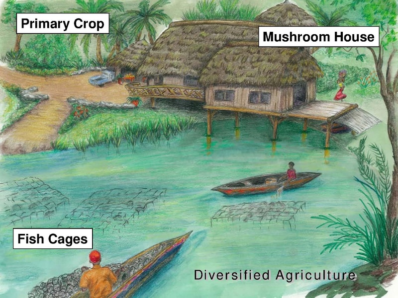 File:Low Cost Mushroom Cultivation.pdf · version 1.pdf