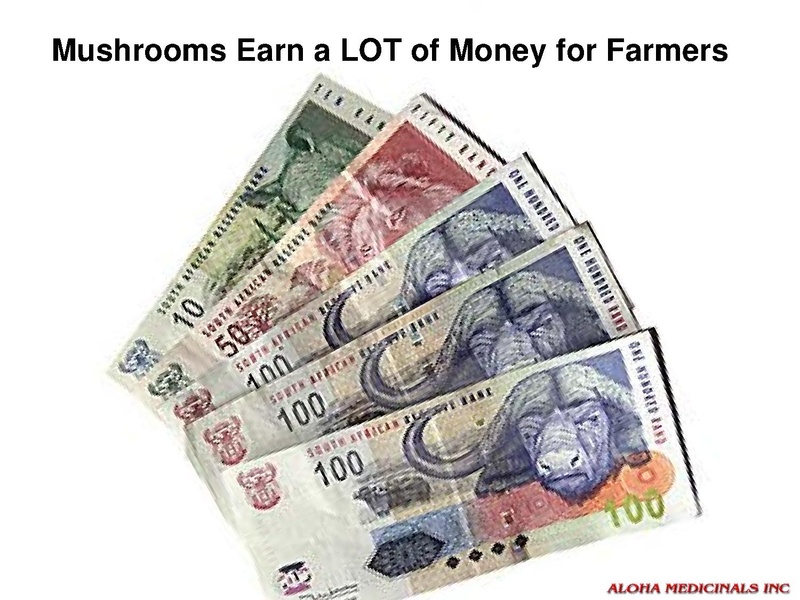 File:Low Cost Mushroom Cultivation.pdf · version 1.pdf