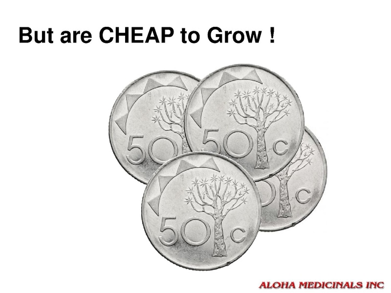 File:Low Cost Mushroom Cultivation.pdf · version 1.pdf