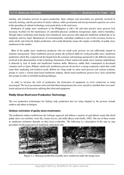 File:Volvariella growing.pdf · version 1.pdf