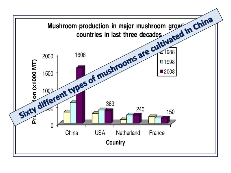 File:Technologies for Mushroom Production.pdf